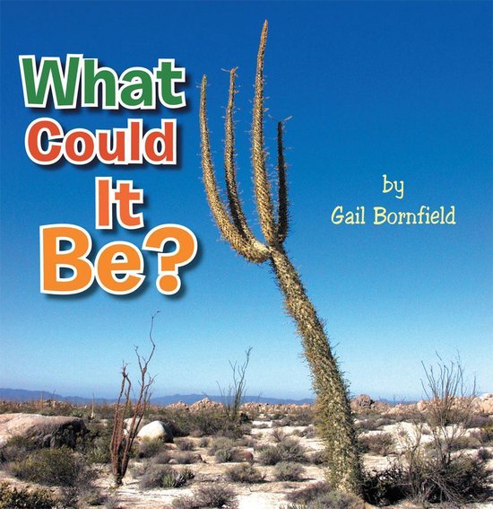 What Could It Be? - cover