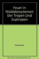 Feuer in Waldokosystemen Der Tropen Und Suptropen