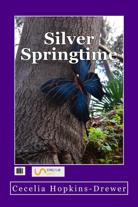 Silver Springtime - cover
