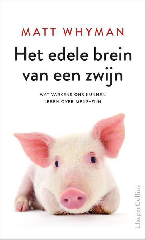 Het edele brein van een zwijn - cover