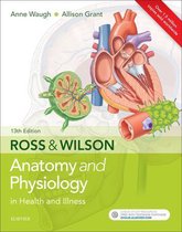 Anatomy & Physiology Diagrams 