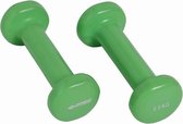 Schildkröt Fitness Dumbbells - 2 x 0.5 kg - Gietijzer - Groen