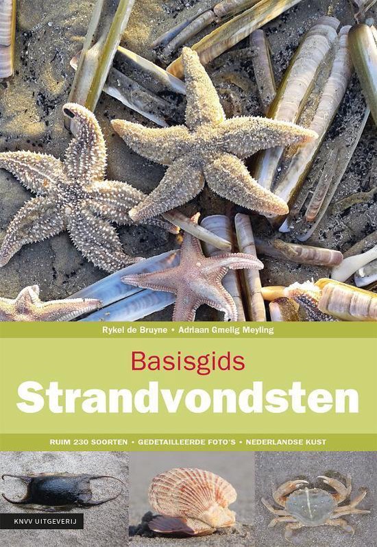 Basisgids Strandvondsten - Rykel de Bruyne | Stml-tunisie.org