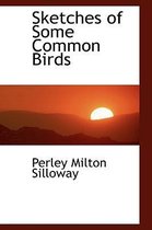 Sketches of Some Common Birds