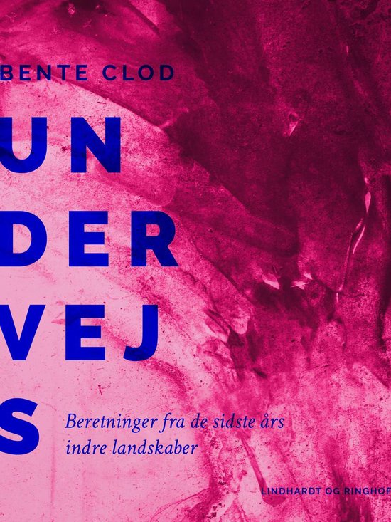 Undervejs. Beretninger fra de sidste års indre landskaber