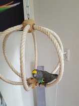 Speelbal kleine papegaaien (Fromaat bonte boertjes of bv caiques )( Vogel schommel )