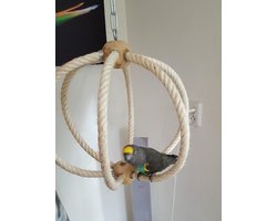 Speelbal kleine papegaaien (Fromaat bonte boertjes of bv caiques )( Vogel schommel )