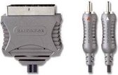 Bandridge VL7583 video kabel adapter 3 m SCART (21-pin) 2 x RCA Grijs
