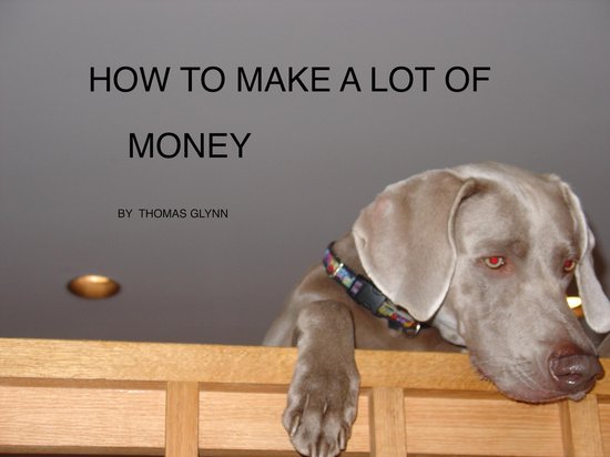 How To Make A Lot Of Money - cover