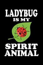 Ladybug Is My Spirit Animal