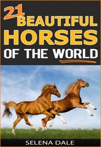 Weird & Wonderful Animals 6 - 21 Beautiful Horses Of The World