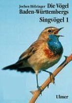 Singvögel 1