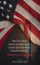 The So Called Same-Sex Marriage, Sweet But The Most Horrific Enemy: America in Crisis
