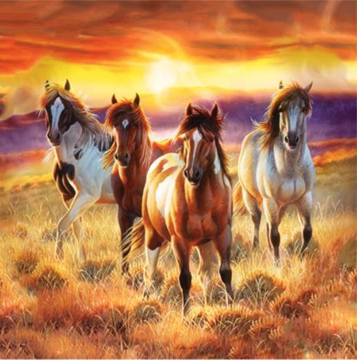 Diamond Painting Pakket Prachtige Paarden in het Veld - Volledig - Diamond Paintings - 40x40 cm - Vierkant - SEOS Shop ®