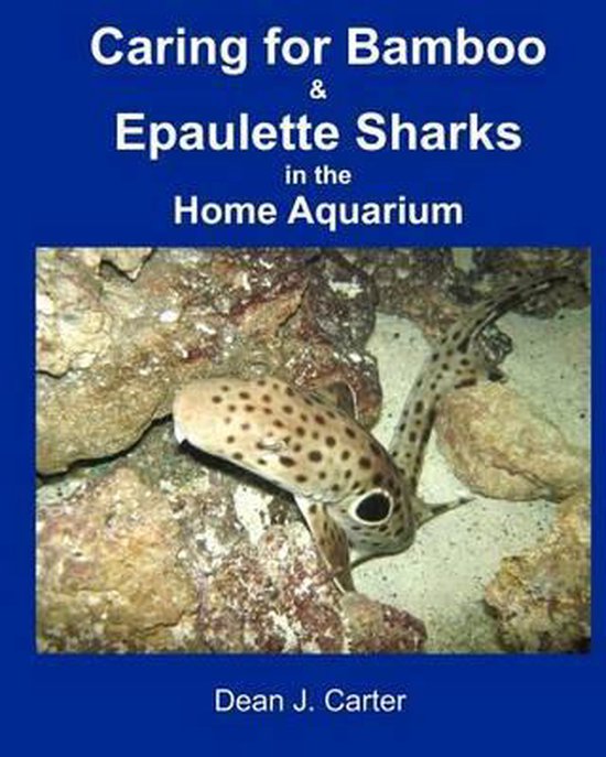 Caring for Bamboo and Epaulette Sharks in the Home Aquarium, Dean J