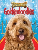 Designer Dogs- Goldendoodles