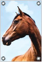 Tuinposter – Paarden Hoofd– 40x60cm Foto op Tuinposter (wanddecoratie voor buiten en binnen)