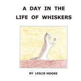 A Day in the Life of Whiskers