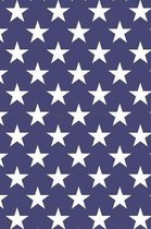 Patriotic Pattern - United States Of America 186
