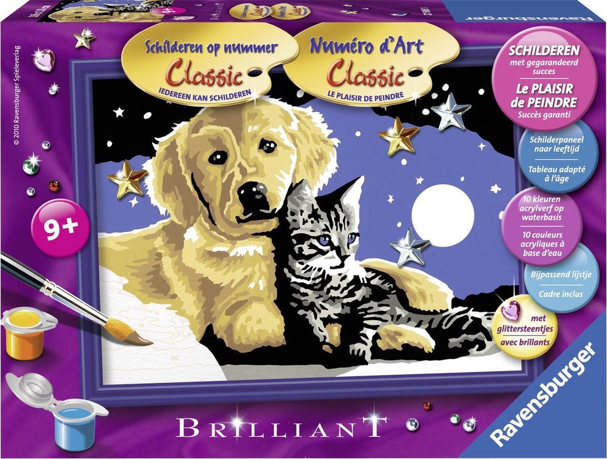 Ravensburger schilderen op nummer Schitterende sterrenhemel