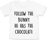Follow the Bunny - Strijkapplicatie