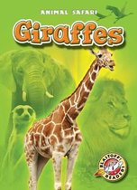 Animal Safari- Giraffes