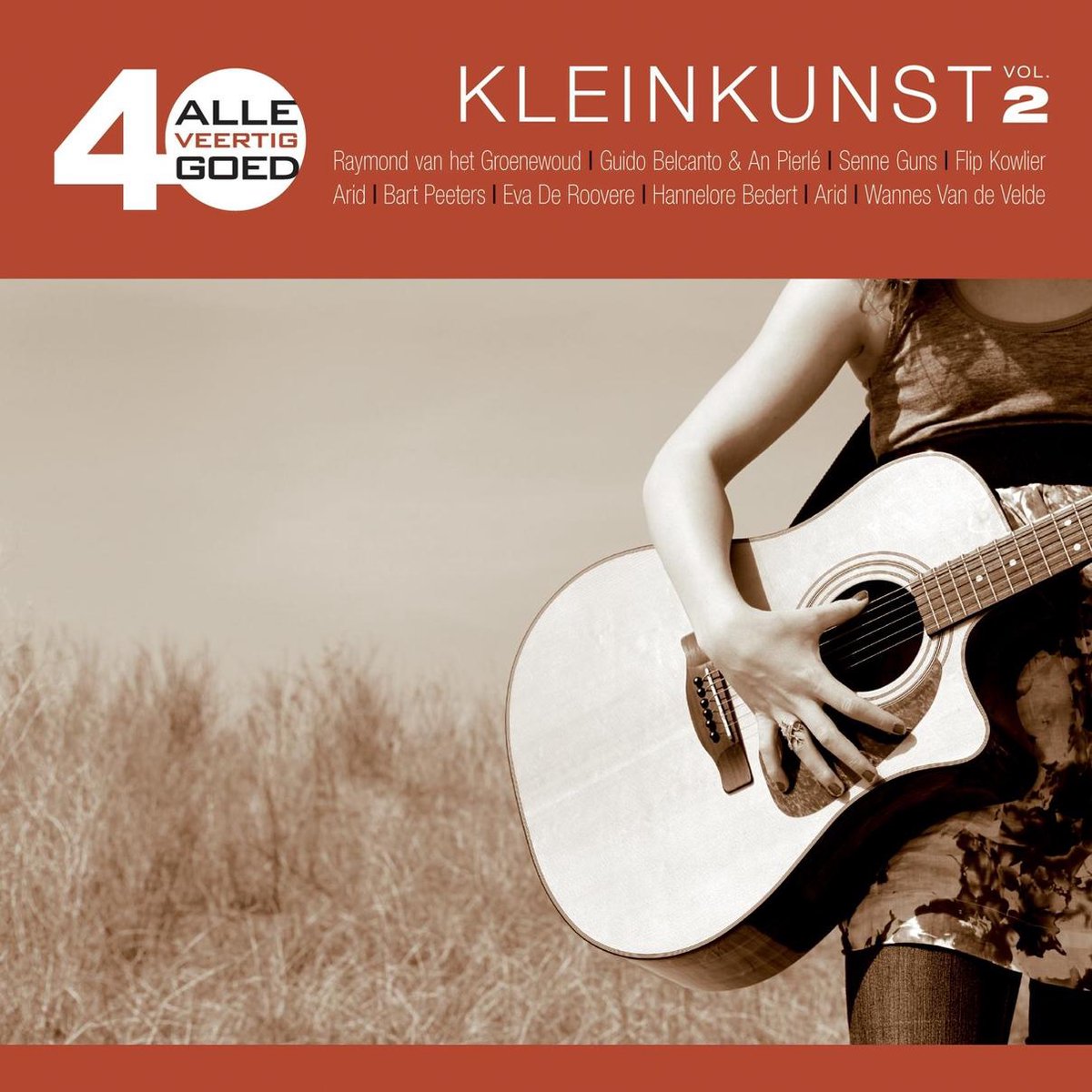 Alle 40 Goed - Kleinkunst Vol. 2