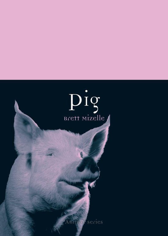 Animal 42 - Pig - cover