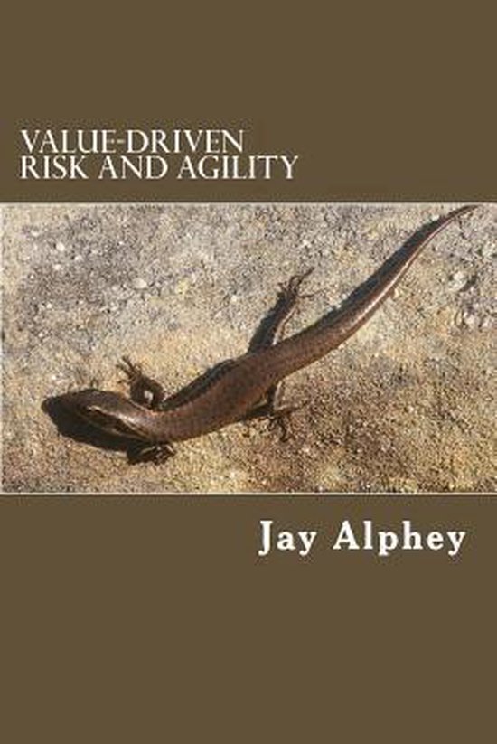 Value-driven Risk and agility - cover