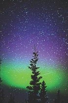 Northern Lights with Trees & Stars Notebook