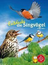 Entdecke die Singvögel