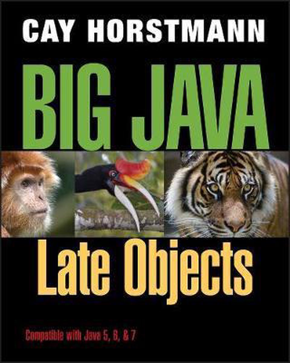 Big Java - Cay S Horstmann