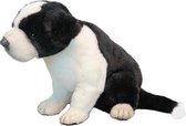 Pluche Border Collie pup knuffel 25 cm