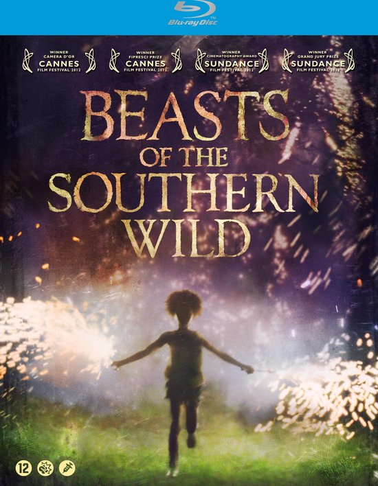 Cover van de film 'Beasts Of The Southern Wild'