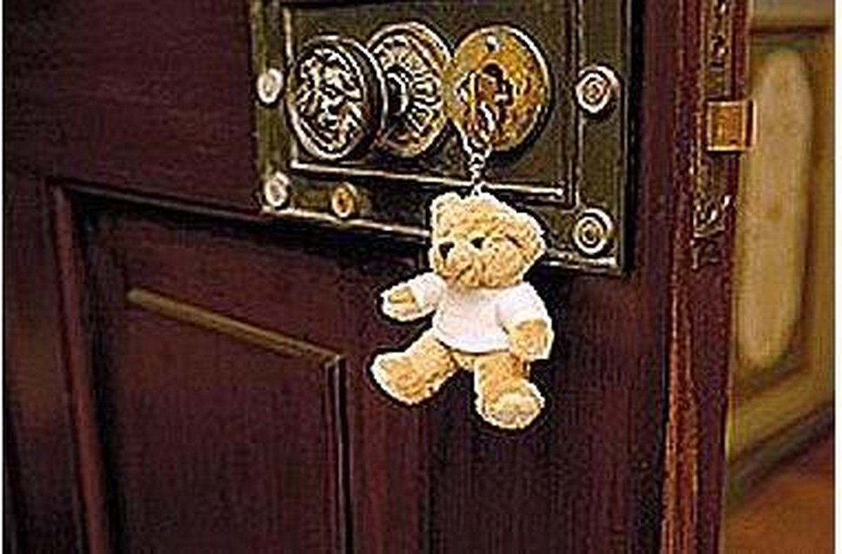 Teddybeer/beren sleutelhangers 10 cm - Kleine dieren knuffels | bol.com