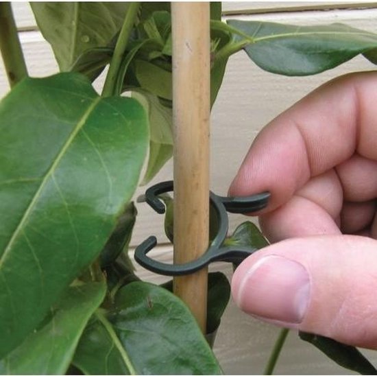 100 stuks plantenclips, plantenklemmen, klemmen voor planten, plantenclips, klimhulpen, plantensteunclips, tuinplantenclips, voor ondersteuning en bevestiging van planten (klein 4 x 2,7 cm