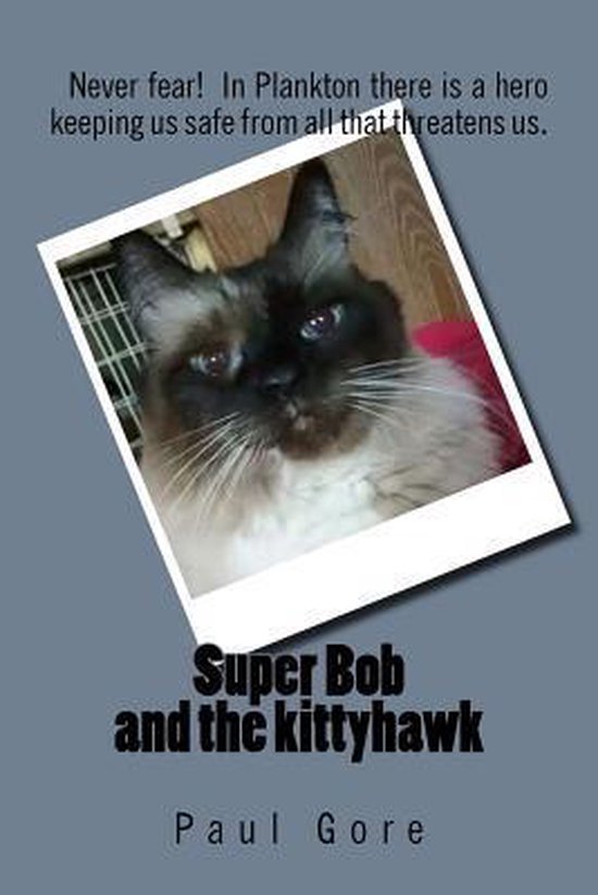 Super Bob and the kittyhawk - cover