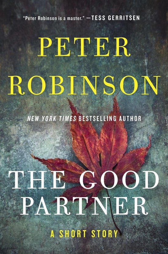 The Good Partner - cover