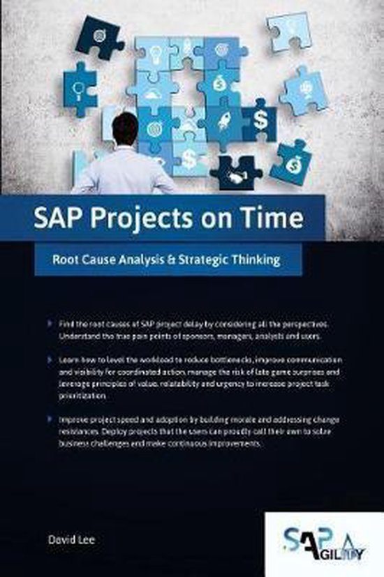 SAP Projects on Time - cover