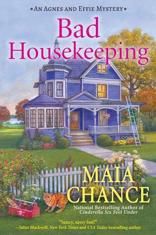An Agnes and Effie Mystery 1 Bad Housekeeping (ebook), Maia Chance