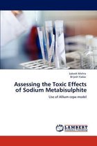 Assessing the Toxic Effects of Sodium Metabisulphite