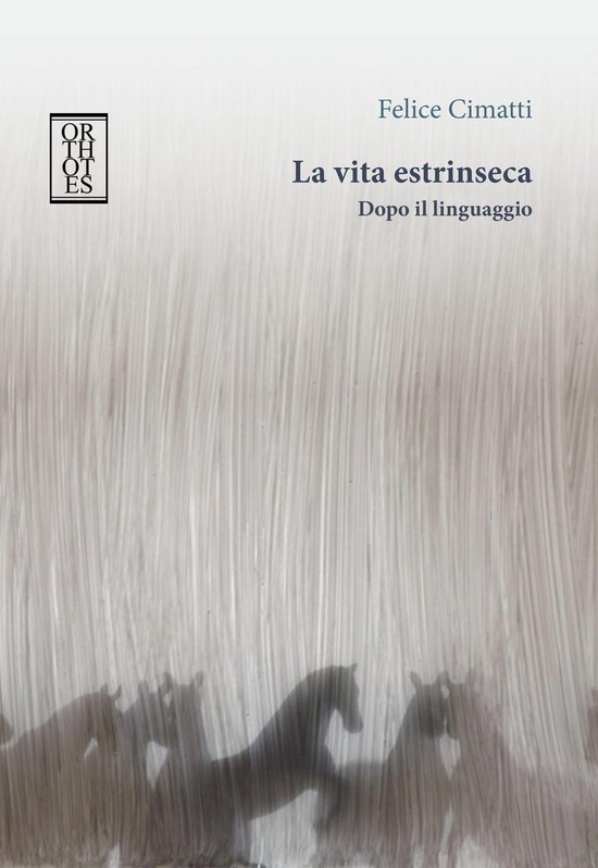 La vita estrinseca. Dopo il linguaggio - cover