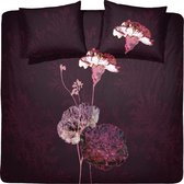 Damai Carnation - Dekbedovertrek - 200 x 200/220 - Tweepersoons - Burgundy