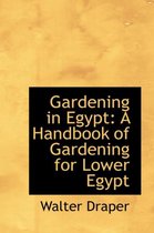 Gardening in Egypt