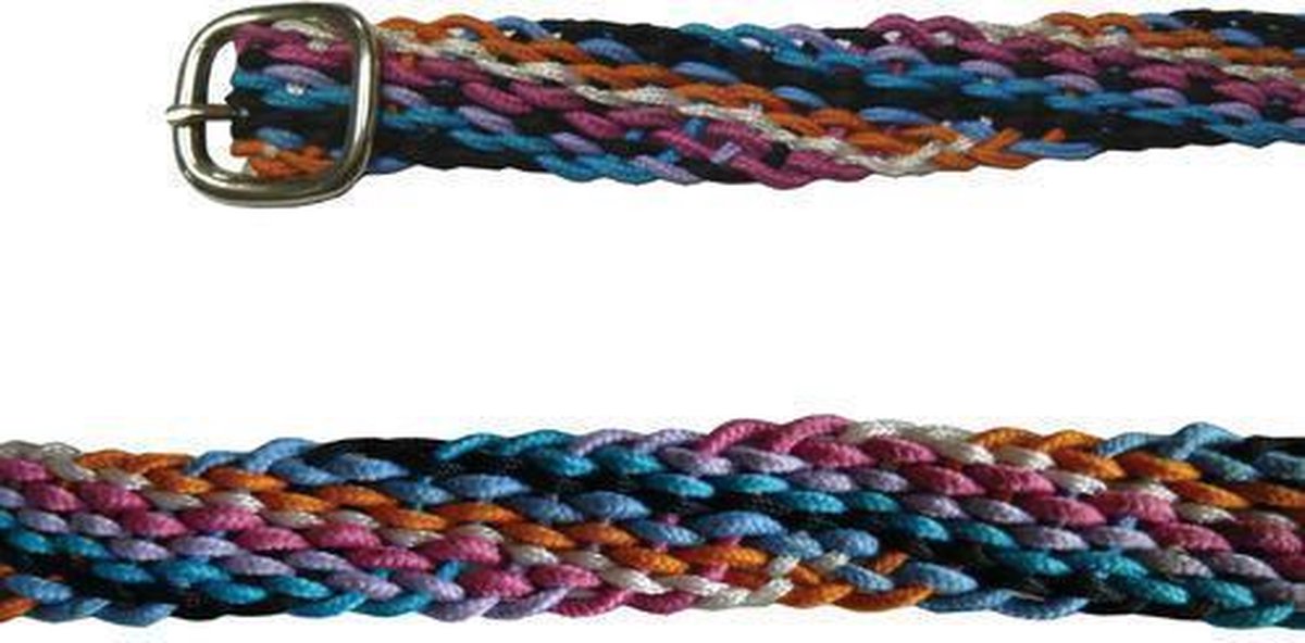 Impulz Spoorriem Zwaar Nylon Zilvgesp Multi
