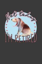 Not Today I'm Retired