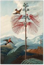 Graphic Message - Tuin Schilderij op Outdoor Canvas - Grote Bloeiende Plant Vogels - Buiten - Vogel