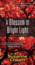 A Jimmy Vega Mystery 2 - A Blossom of Bright Light