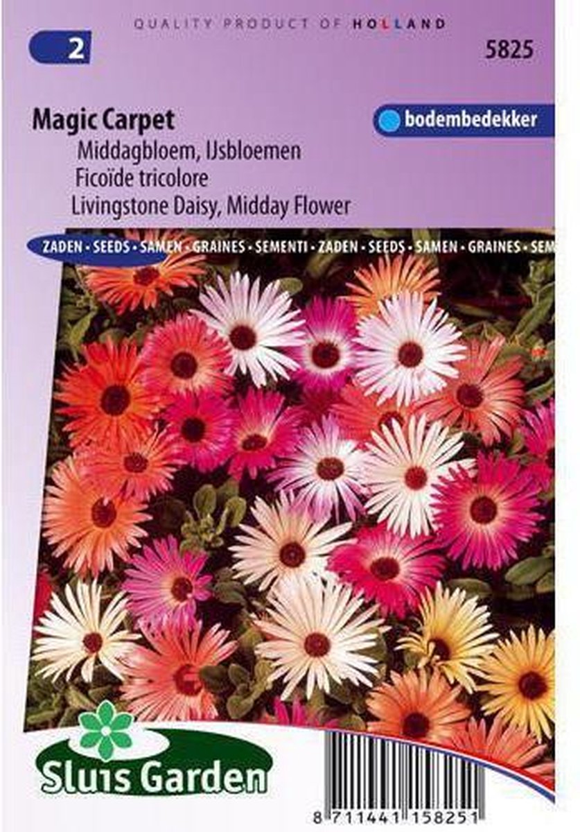 Sluis Garden - IJsbloem Magic Carpet mix (Middagbloem) - Sluis garden