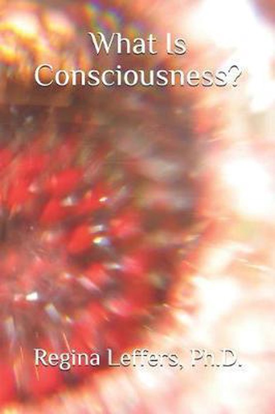 What Is Consciousness? - cover